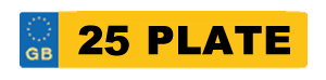 dark-horse-detailing-24-plate
